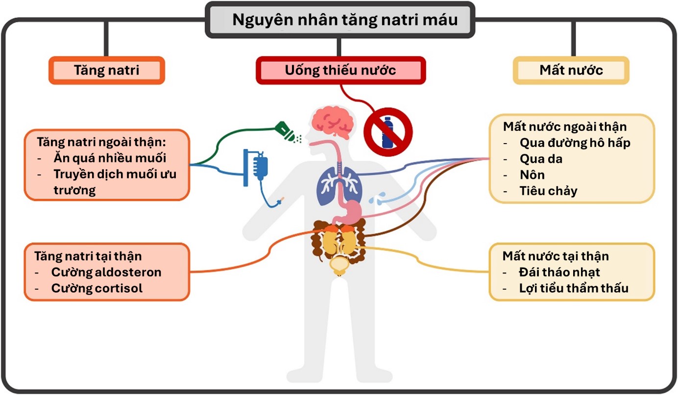 Xét nghiệm natri máu