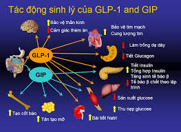 glp-1 and periods Why your period can change during GLP-1 weight loss. The medication doesn't  directly affect hormones, but rapid weight loss, appetite changes, stress,  and lower energy intake can influence your cycle. This video