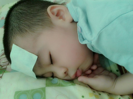 mieng_dan_ha_sot.jpg mieng_dan_ha_sot.jpg