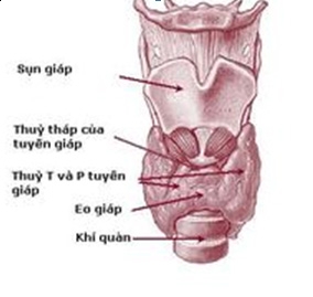 2009-07-20270514bm.jpg 2009-07-20270514bm.jpg