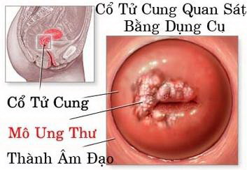 tu_cung.jpg
