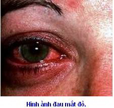daumat.jpg