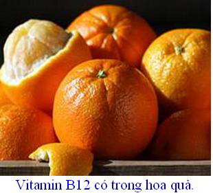b12.jpg