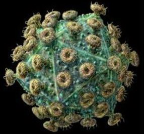 hiv1.jpg