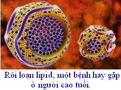 hcch1.jpg