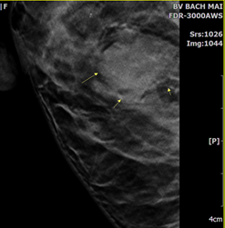 image010.png