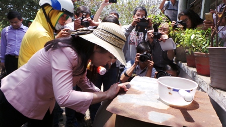 zika_3.jpg