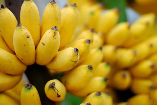 chuoi-tieu.jpg chuoi-tieu.jpg