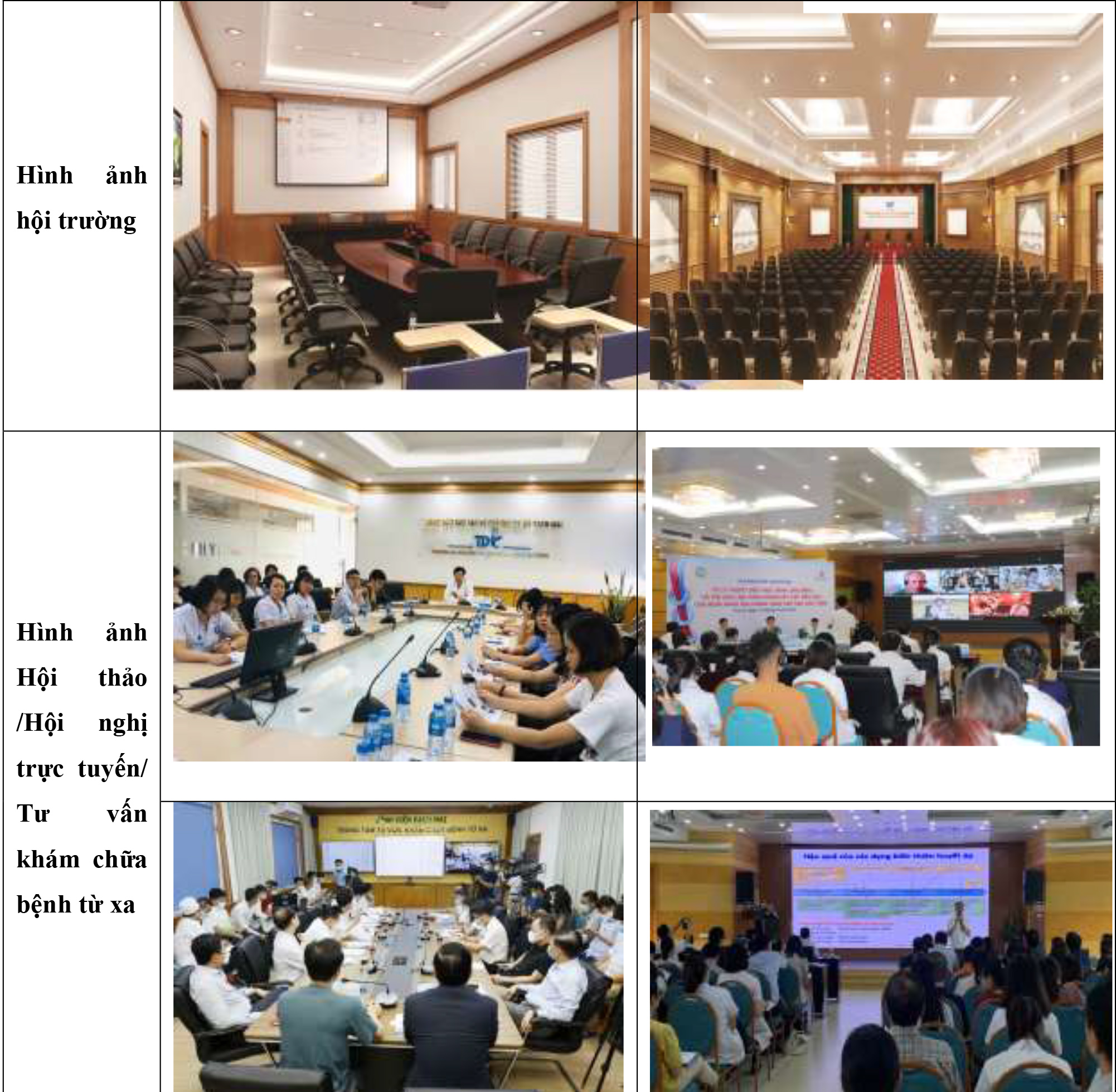 Gioi thieu TDC dang Website Updated 13.10