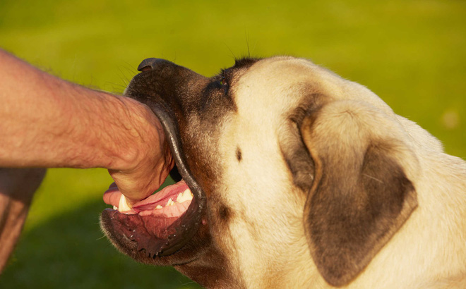 nam thanh nien chet tuc tuoi vi danh cho sau khi bi can1533169236