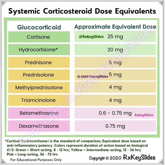 219923505 369969394530404 5020936693188799985 n
