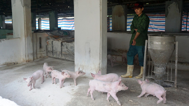 talonchauphi minhhai1 akji