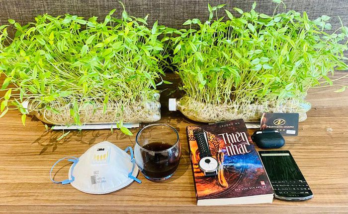 45a42ec163838addd392