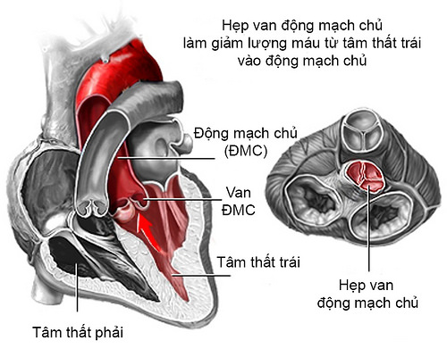 34884017532 2b19d88321