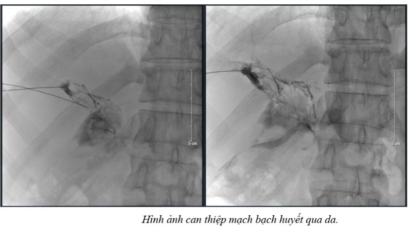 z3307918848565 070cb248eece5399786684b905a58f44