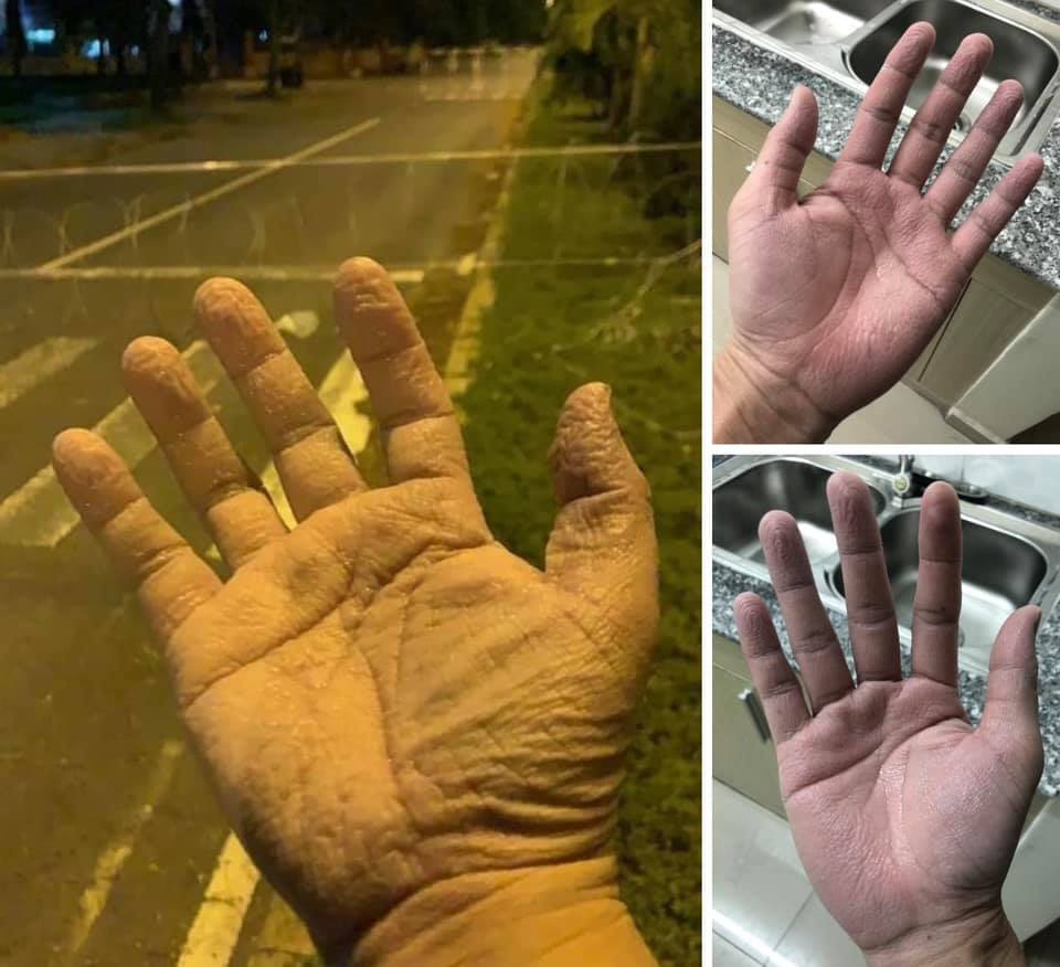 233316168 1697466907309076 459140370534701486 n 960x876