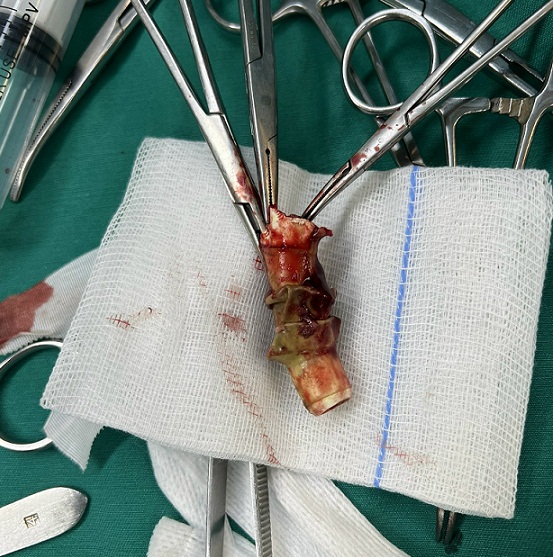 z3867176326934 5718dad9acbd1e57f62b7deec6d7f366