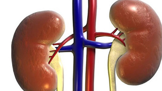 thumb00 03191119156140