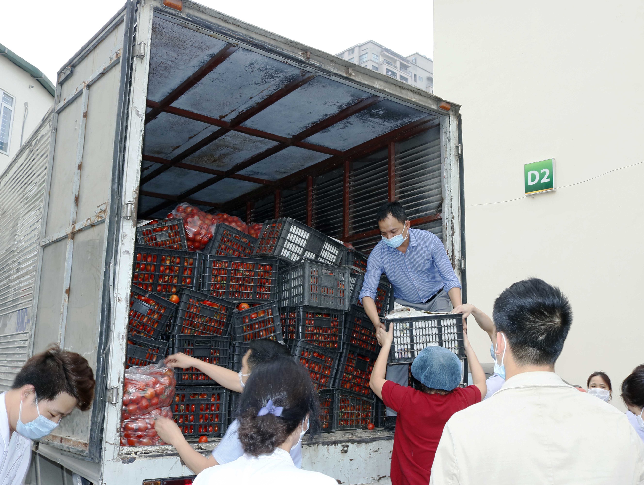 giai cuu rau Hai Duong