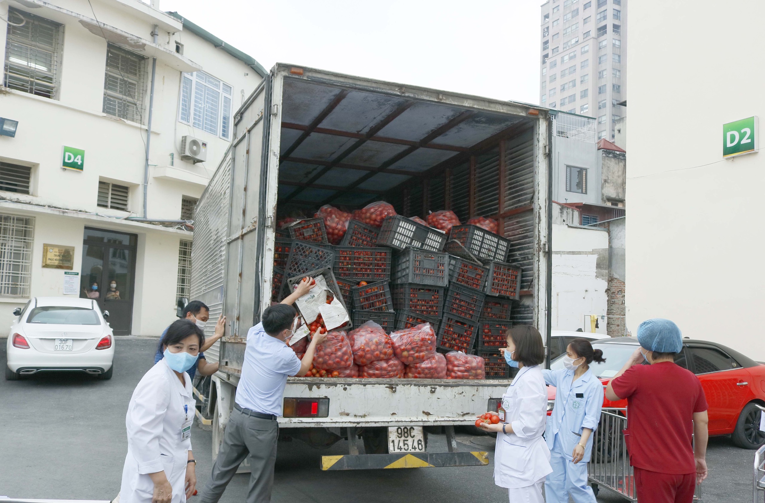 giai cuu rau hai duong1