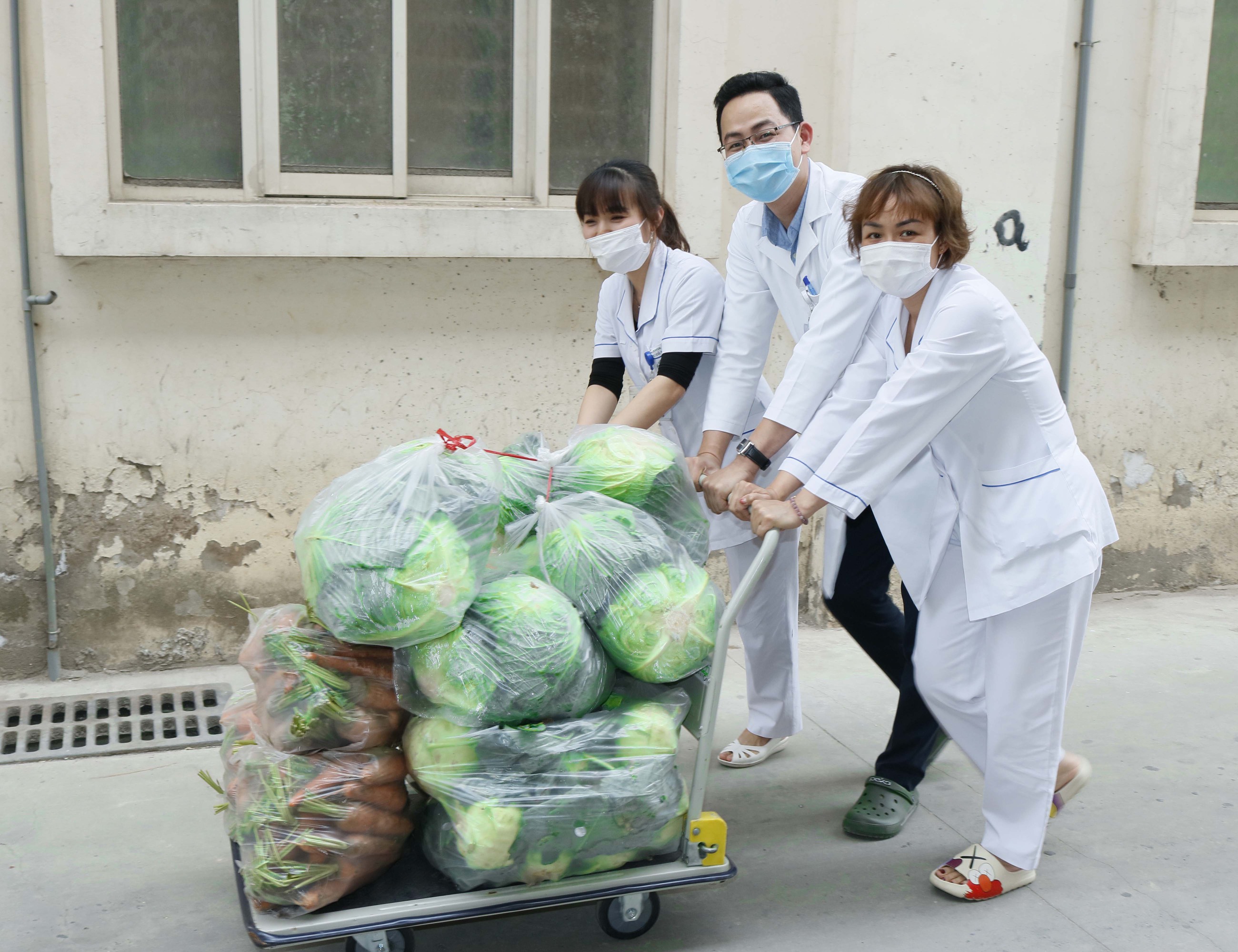 giai cuu rau hai duong