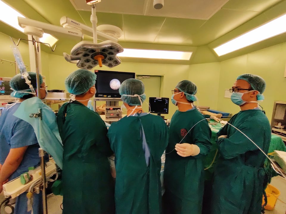 kip tan soi qua da duong ham nho