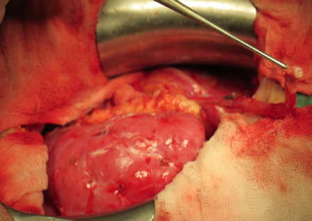 2017 02 07 14 20 22 1486452512870