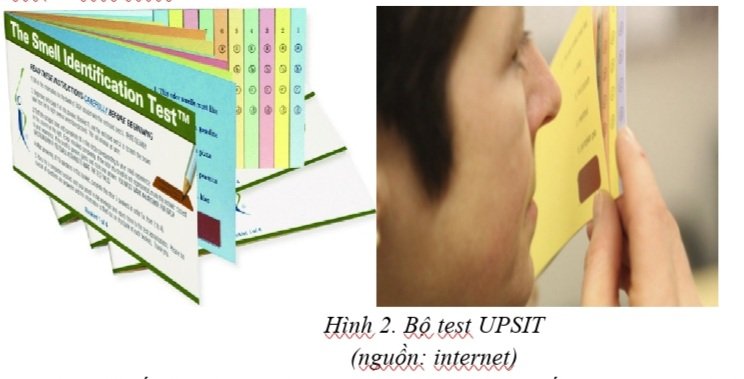 1.3.2022 hinh 3 roi loan ngui