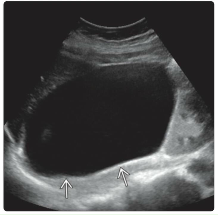 z3119587487647 6003893959b333b060fec15570cfcae7