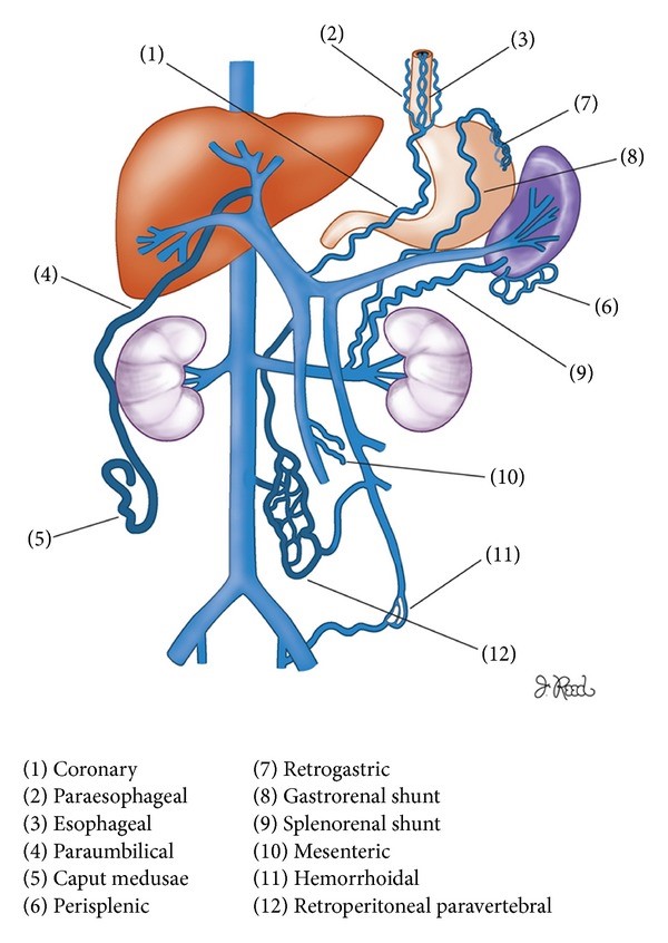 nut mach xuat huyet001