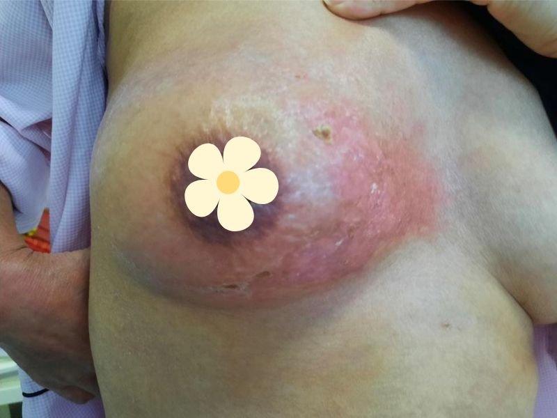 z3975924437996 e9d30c558e9674028700897b66591088