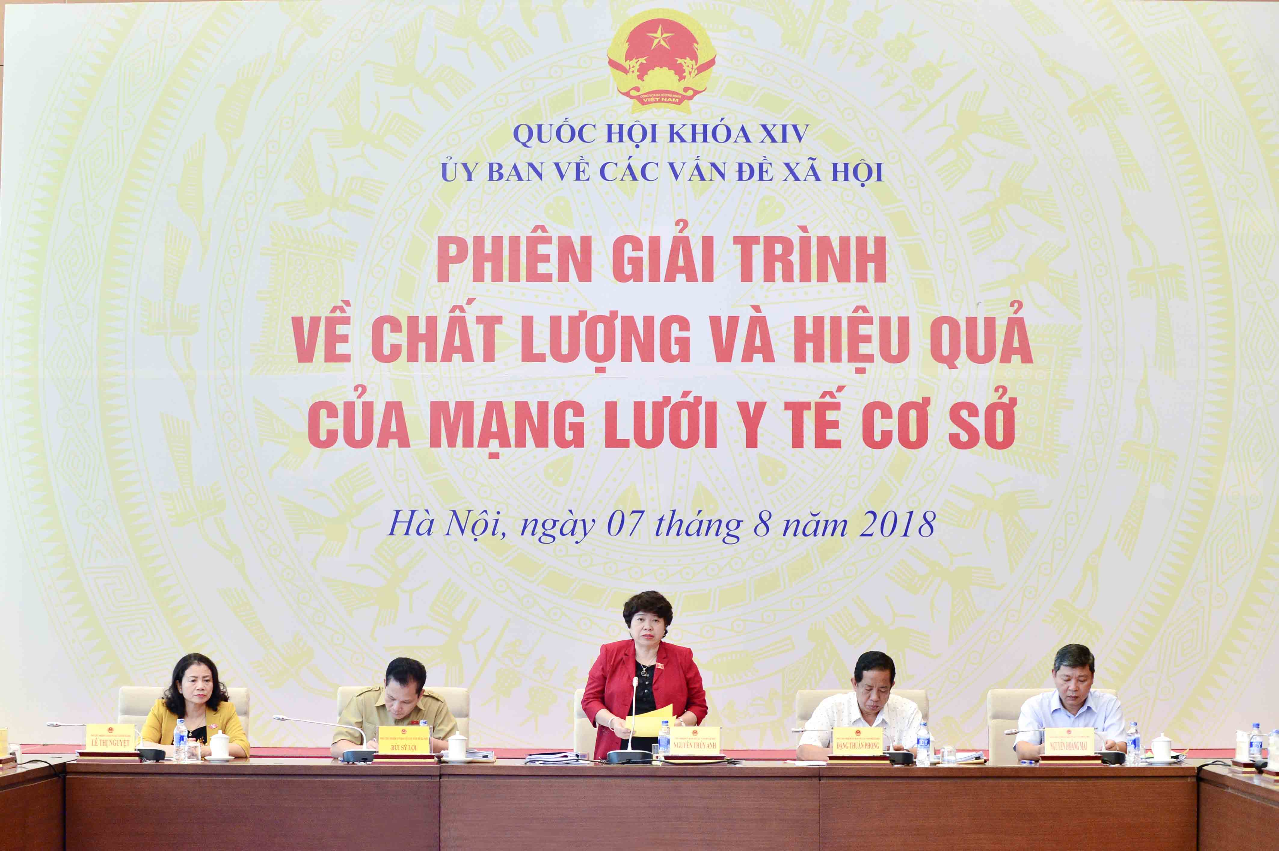 Chu nhiem Nguyen Thuy Anh phat bieu